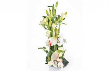 Image zoom composition florale blanche Meringue