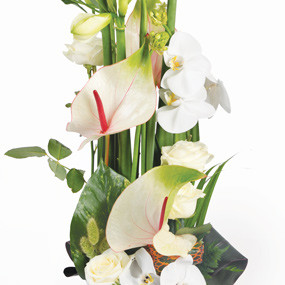 Zoom droit composition florale blanche Meringue