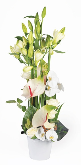 Zoom milieu composition florale blanche Meringue