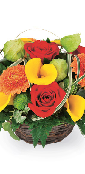 Zoom milieu composition colorée Maïa