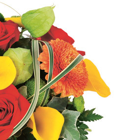 Zoom droit composition colorée Maïa