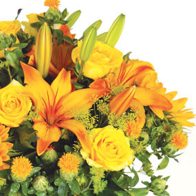 Zoom droit bouquet de fleurs jaunes Soleil