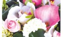 zoom sur des fleurs du bouquet