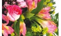 L'Agitateur Floral | zoom sur les roses et les astroemerias du bouquet de fleurs