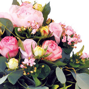 mosaïque : zoom sur le haut du Bouquet de pivoines roses Camille