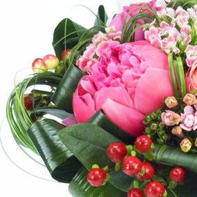 mosaïque : zoom sur une pivoine rose