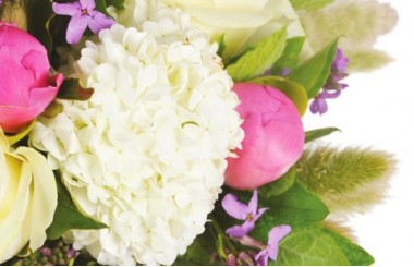 zoom sur un oeillet blanc du bouquet de fleurs