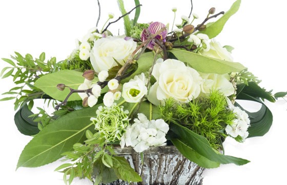 Zoom composition de fleurs "Lune de Miel"