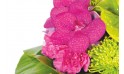 zoom sur un fleuron d'orchidée fuchsia