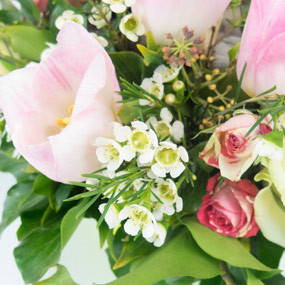 Image zoom gauche Fleurs des Bois