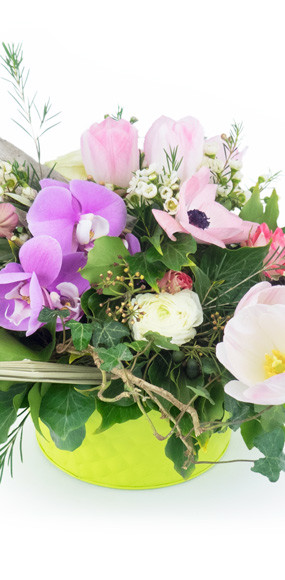 Image zoom milieu Fleurs des Bois