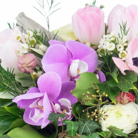 Image zoom droit Fleurs des Bois