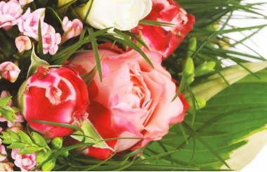 zoom sur une rose rose de la création florale