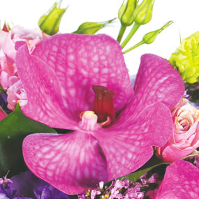 mozaique : orchidée vanda dans le bouquet Perle d'O