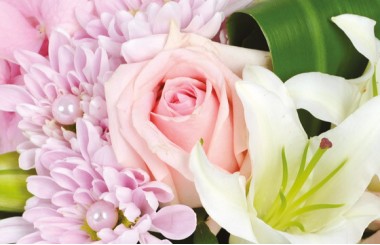 L'Agitateur Floral | Composition Velour Rose : zoom sur une rose rose