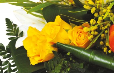 L'Agitateur Floral | zoom sur des roses jaune-orangé