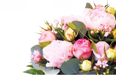 L'Agitateur Floral | zoom sur les pivoines du Bouquet de pivoines roses Camille