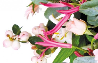 Zoom sur un ensemble de fleurs du bouquet Dédicace