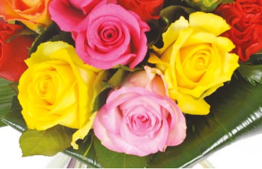 L'Agitateur Floral | zoom sur quatre roses jaune, rose & fuchsia