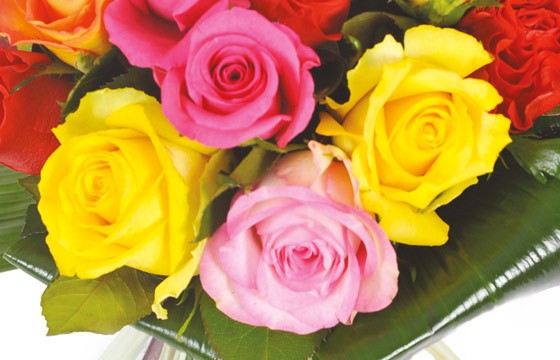 L'Agitateur Floral | zoom sur quatre roses jaune, rose & fuchsia