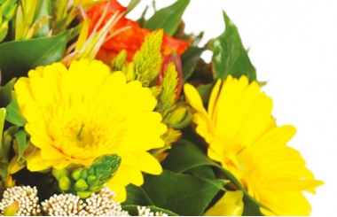 L'Agitateur Floral | zoom sur les gerberas jaunes du bouquet