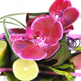 zoom sur une orchidée de la Composition Florale Chrysalide