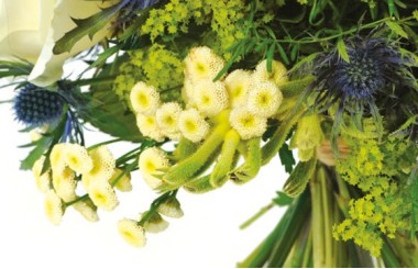 zoom sur des fleurette du bouquet Alchimie
