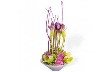 L'Agitateur Floral | Image de la composition florale Belle Dame