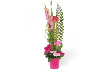 L'Agitateur Floral | Image de la composition de fleurs Lady