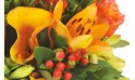 Zoom sur les lys et callas orange