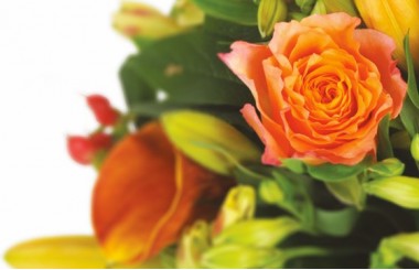 zoom sur une rose orange du bouquet de fleurs