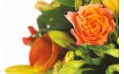 zoom sur une rose orange du bouquet de fleurs