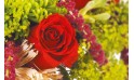 image d'une rose rouge du bouquet Révélation