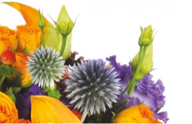 zoom sur des chardons du bouquet de fleurs