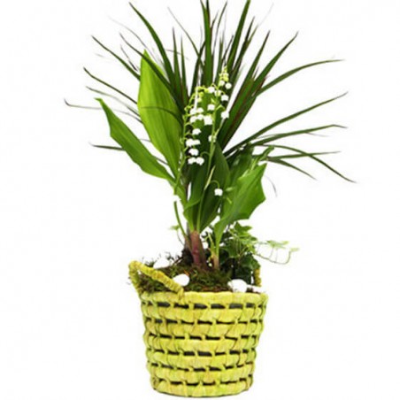 L'Agitateur Floral | image de la Composition Couleur Muguet