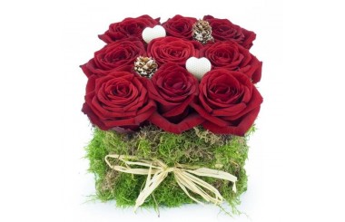 L'Agitateur Floral | image du carré de Noël