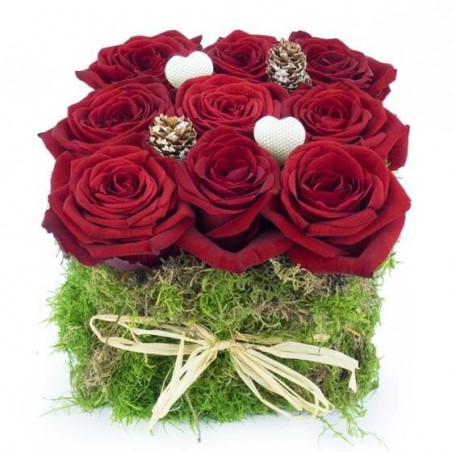 L'Agitateur Floral | image du carré de Noël