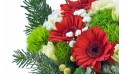 L'Agitateur Floral | vue sur les gerberas du Bouquet de fêtes de fin d'année "Pavlova"