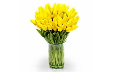 L'Agitateur Floral | Image du Bouquet de Tulipes Jaunes