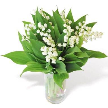 L'Agitateur Floral | image du bouquet de muguet heureux