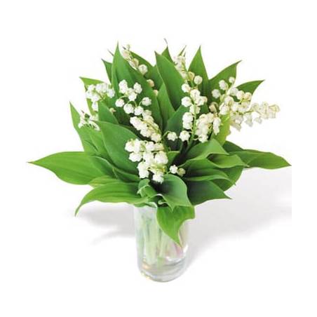L'Agitateur Floral | image du bouquet de muguet heureux