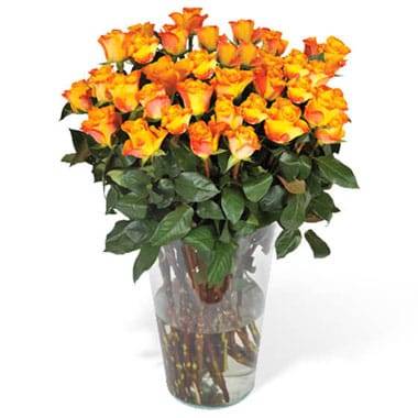 L'Agitateur Floral | image du Bouquet de Roses Oranges longues tiges
