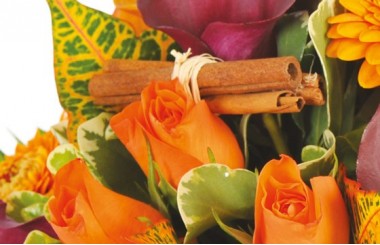zoom sur une rosette orange et des branche de canelles