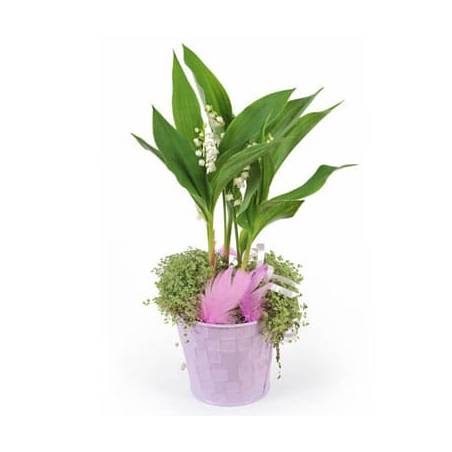 L'Agitateur Floral | Image de la Composition Rosée de Muguet