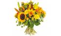 L'Agitateur Floral | Image de couverture bouquet de fleurs jaunes Soleil