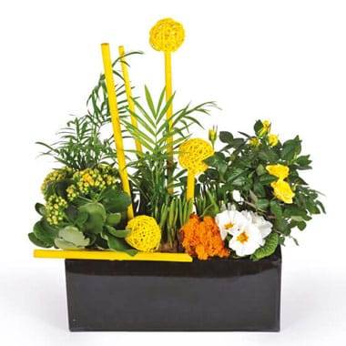 L'Agitateur Floral | image de la coupe de plantes dans les tons jaune le jardin d'Abel