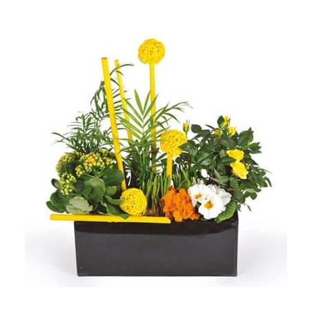 L'Agitateur Floral | image de la coupe de plantes dans les tons jaune le jardin d'Abel