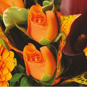 mozaique : image d'une rose orange du bouquet