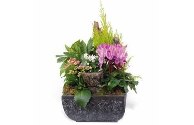 L'Agitateur Floral | image de la composition de plantes pour un deuil rose & blanche Infini