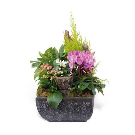 L'Agitateur Floral | image de la composition de plantes pour un deuil rose & blanche Infini